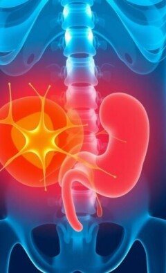 Das Leitsymptom: Bauchschmerzen bei Appendizitis — ¿Por qué este dolor merece toda tu atención?