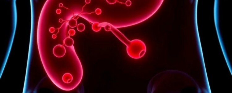 La revolución silenciosa: el papel de los biomarcadores en mejorar el diagnóstico de la apendicitis