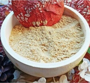 Загадочный мир акул: как размножаются эти величественные хищники?