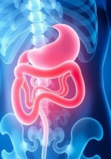 What Is Appendicitis? Understanding the Causes, Symptoms, and Treatments