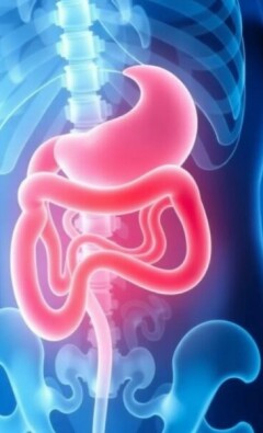 What Is Appendicitis? Understanding the Causes, Symptoms, and Treatments