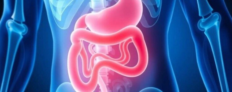 What Is Appendicitis? Understanding the Causes, Symptoms, and Treatments