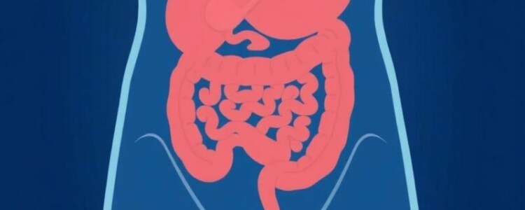 Complications of Untreated Appendicitis: What You Need to Know