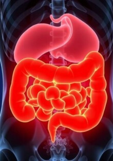 ¿Es apéndice o solo un dolor de barriga? Cómo diferenciarlos sin perder la calma