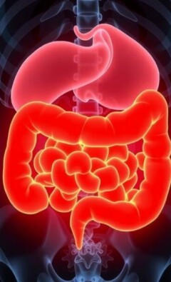 ¿Es apéndice o solo un dolor de barriga? Cómo diferenciarlos sin perder la calma