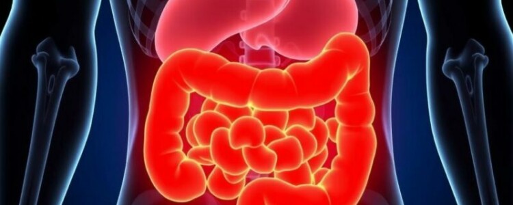 ¿Es apéndice o solo un dolor de barriga? Cómo diferenciarlos sin perder la calma