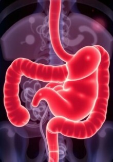 Interpretation von Laborwerten bei Verdacht auf Appendizitis: cómo interpretar los análisis cuando el apéndice está en duda