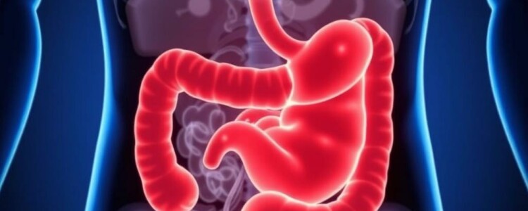 Interpretation von Laborwerten bei Verdacht auf Appendizitis: cómo interpretar los análisis cuando el apéndice está en duda