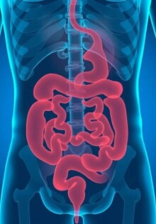 Appendicitis vs. Irritable Bowel Syndrome (IBS): Understanding the Differences and Symptoms
