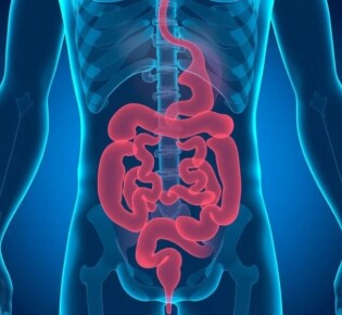 Appendicitis vs. Irritable Bowel Syndrome (IBS): Understanding the Differences and Symptoms