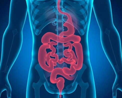 Appendicitis vs. Irritable Bowel Syndrome (IBS): Understanding the Differences and Symptoms