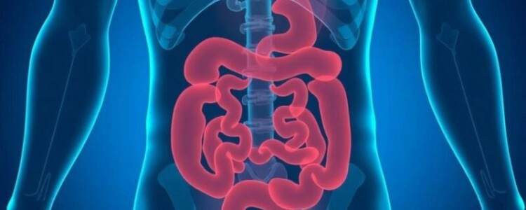 Appendicitis vs. Irritable Bowel Syndrome (IBS): Understanding the Differences and Symptoms