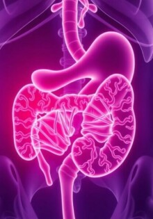 Genetic Factors in Appendicitis: Understanding the Hidden Links Behind This Common Condition