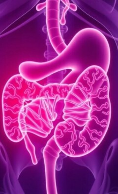 Genetic Factors in Appendicitis: Understanding the Hidden Links Behind This Common Condition