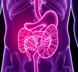 Genetic Factors in Appendicitis: Understanding the Hidden Links Behind This Common Condition