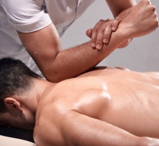 Горлица: Нежный символ любви, гармонии и грации