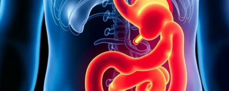 Laborwerte bei Verdacht auf Blinddarmentzündung: Ein umfassender Leitfaden für Patienten und Mediziner