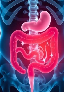 Akute Appendizitis: Wann muss man sofort zum Arzt?