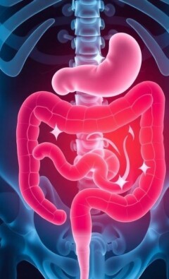 Akute Appendizitis: Wann muss man sofort zum Arzt?