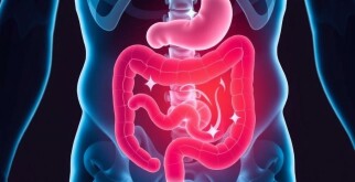 Akute Appendizitis: Wann muss man sofort zum Arzt?