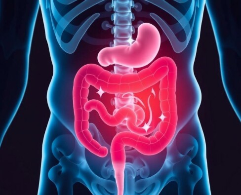 Akute Appendizitis: Wann muss man sofort zum Arzt?