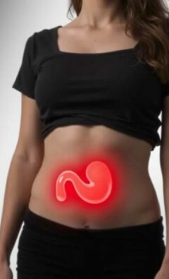 Can You Live Without an Appendix? Exploring the Role and Reality of Life After Appendix Removal
