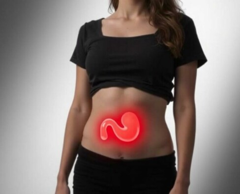Can You Live Without an Appendix? Exploring the Role and Reality of Life After Appendix Removal
