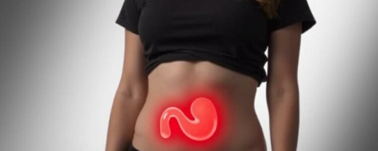 Can You Live Without an Appendix? Exploring the Role and Reality of Life After Appendix Removal