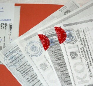 Гиперплазия щитовидной железы: что это и как с ней жить?