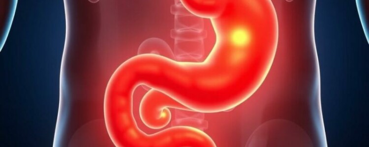 Antibiotikatherapie bei unkomplizierter Appendizitis: Eine moderne Alternative zur Operation