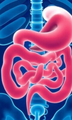 Appendicite et Nausées : Pourquoi ces Symptômes ?