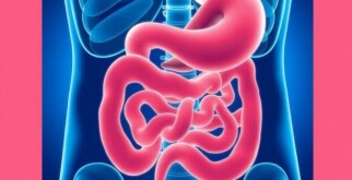 Appendicite et Nausées : Pourquoi ces Symptômes ?