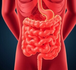Синдром раздраженного кишечника: причины, симптомы и современные методы лечения
