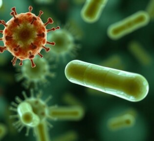 La sombra silenciosa: la importancia de las resistencias a los antibióticos en los procesos clínicos complicados