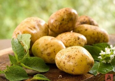 Методика лечения геморроя картофелем