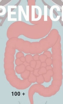 La apendicitis en los libros de medicina a través de las décadas: una historia que late entre páginas, dibujos y bisturíes