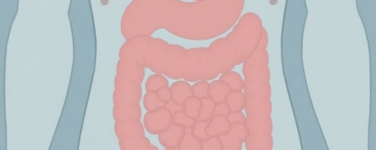 La apendicitis en los libros de medicina a través de las décadas: una historia que late entre páginas, dibujos y bisturíes