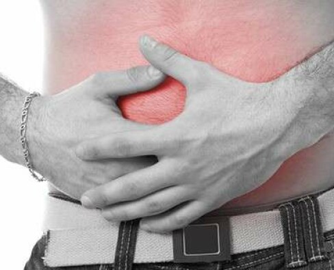 Сколько весит лев: величественный царственный хищник