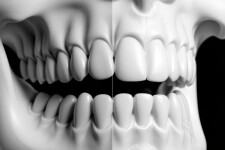 Программа по анализу 2D- и 3D-изображения зубов: как технологии меняют стоматологию