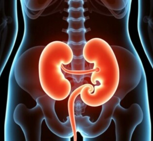 Пиелонефрит: симптомы у женщин — как не пропустить важные сигналы своего организма