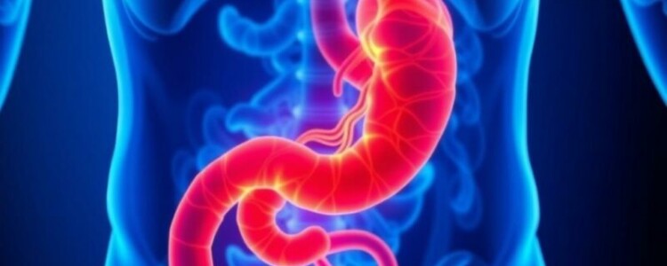 Náuseas y vómitos en casos de apendicitis: cómo reconocerlos, por qué ocurren y qué hacer