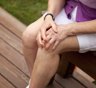 Слепень: таинственный мир маленького хищника