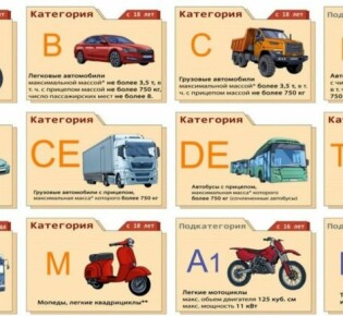 Тукан: Яркий Посланец Тропиков