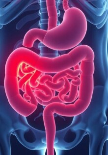 Understanding the Complex Relationship Between Appendicitis and Inflammatory Bowel Disease (IBD)