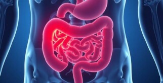 Understanding the Complex Relationship Between Appendicitis and Inflammatory Bowel Disease (IBD)