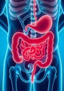 Alternative Heilmethoden bei Appendizitis: Chancen, Risiken und Wirklichkeit