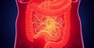 Appendicite et Diarrhée : Quand S’Inquiéter ?