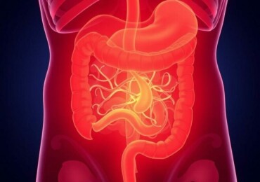 Appendicite et Diarrhée : Quand S’Inquiéter ?