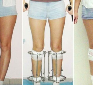 Красная книга РФ: охраняя исчезающие виды и их обитатели