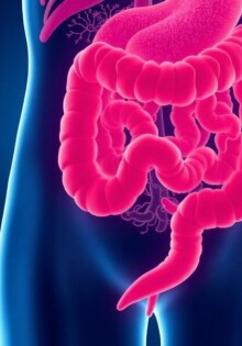 La flora intestinal y la apendicitis: amigos, enemigos y los secretos escondidos en nuestro apéndice
